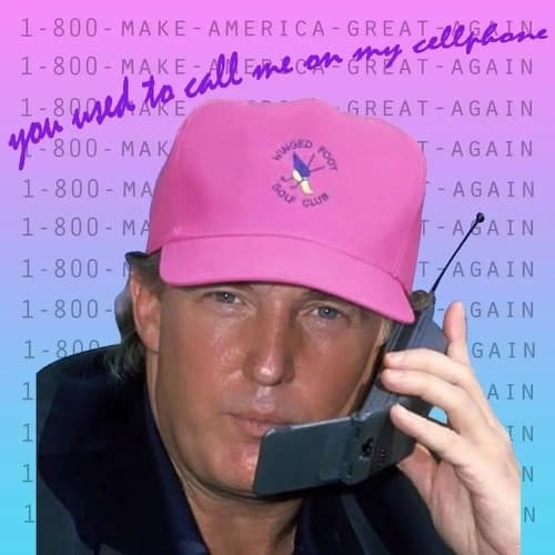 1-800-MAGA Logo